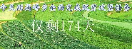 黨員同志們：“甘肅黨建”如何下載？怎么使用？你們學(xué)會了嗎？